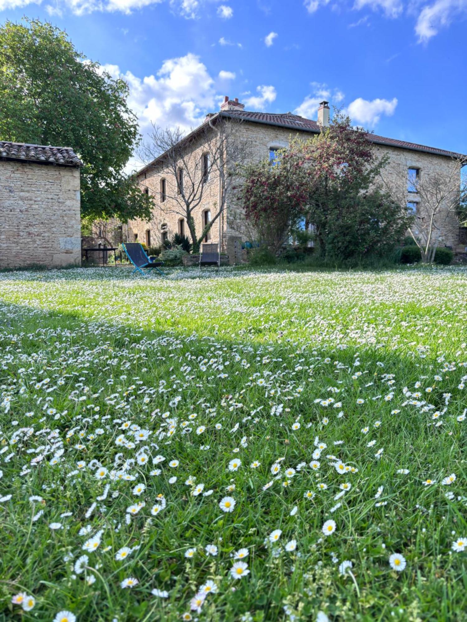 Domaine Du Vernay Mazille Buitenkant foto
