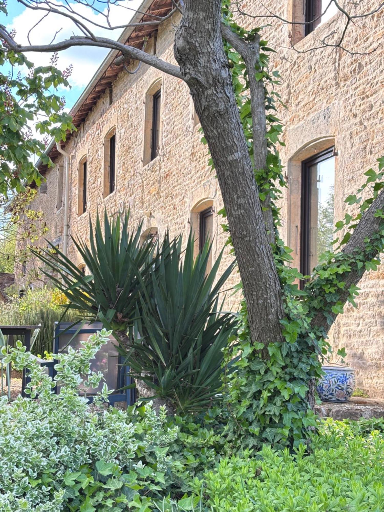 Domaine Du Vernay Mazille Buitenkant foto