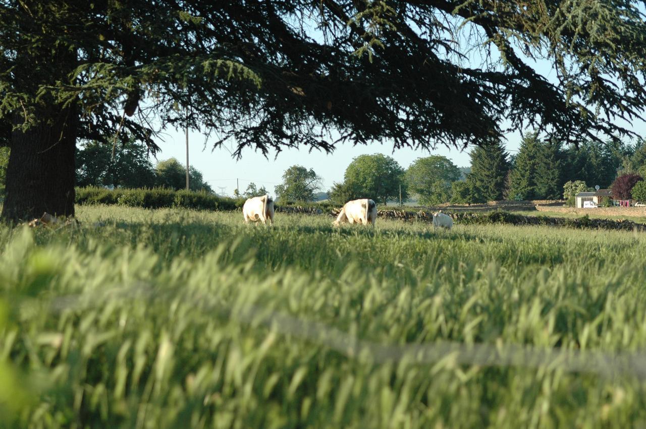Domaine Du Vernay Mazille Buitenkant foto